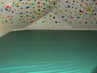 P1020329.jpg