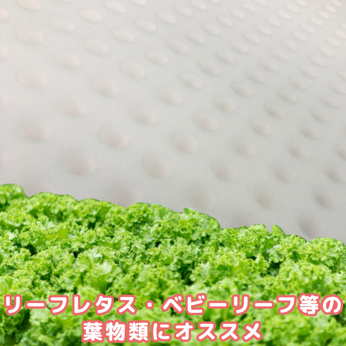 【十字スリット+くぼみ】水耕栽培用スポンジ・水耕栽培用ウレタン U0242-2水耕栽培スポンジ・アクアポニックス用スポンジ