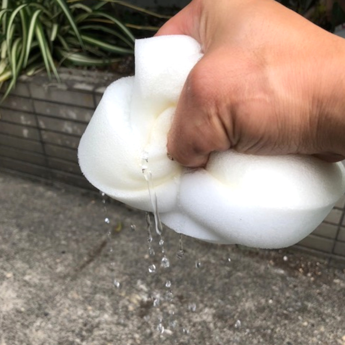 給水スポンジ　FM3306