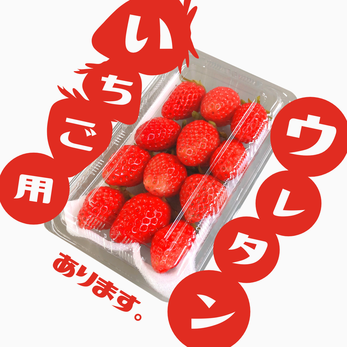 イチゴ用クッション・イチゴ用緩衝材・イチゴ用スポンジ・イチゴ用ウレタンシート