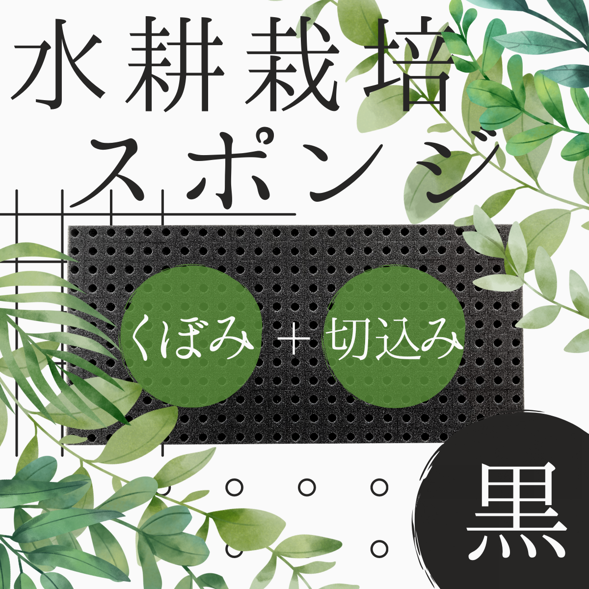 水耕栽培　HP　植物（くぼみ＋切込み）黒.png